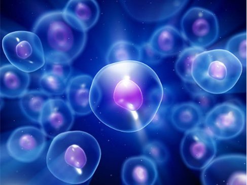 active protein for drug discovery