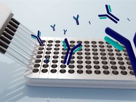 ELISA kit for bioassay