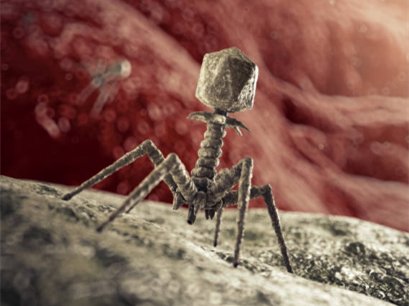 phage display biopanning service