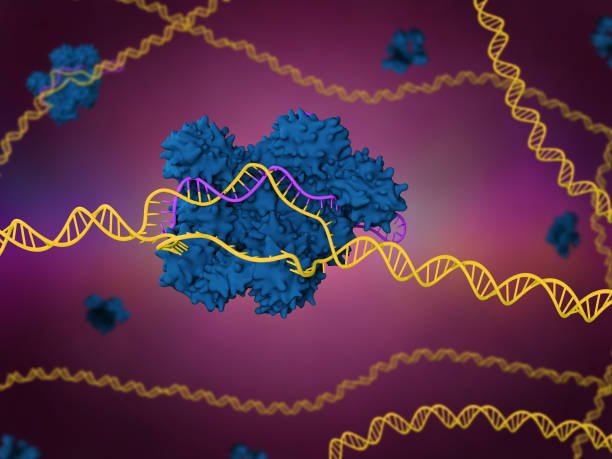 protein expression service