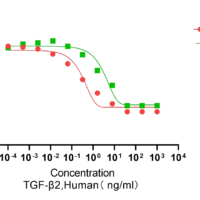 Recombinant Human Transforming Growth Factor Beta 2 (TGFB2) Protein, Active, Ultra-Low Endotoxin - BioCrest Sci