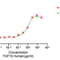 Recombinant Human Fibroblast Growth Factor 10 (FGF10) Protein, Active, Ultra-Low Endotoxin - BioCrest Sci