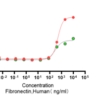 Recombinant Human Fibronectin (FN1) Protein, His Tag, Active, Ultra-Low Endotoxin - BioCrest Sci