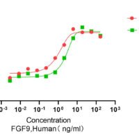 Recombinant Human Fibroblast Growth Factor 9 (FGF9) Protein, Active, Ultra-Low Endotoxin - BioCrest Sci