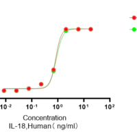 Recombinant Human IL-18 Protein, Active, Ultra-Low Endotoxin - BioCrest Sci