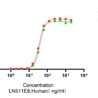 Recombinant Human Laminin-511 E8 Fragment (LAMA5/LAMB1/LAMC1) Protein Complex, His Tag, Active, Ultra-Low Endotoxin - BioCrest Sci
