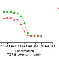 Recombinant Human Transforming Growth Factor Beta 1 (TGFB1) Protein, Active, Ultra-Low Endotoxin - BioCrest Sci