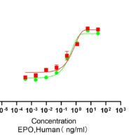Recombinant Human Erythropoietin (EPO) Protein, Active, Ultra-Low Endotoxin - BioCrest Sci