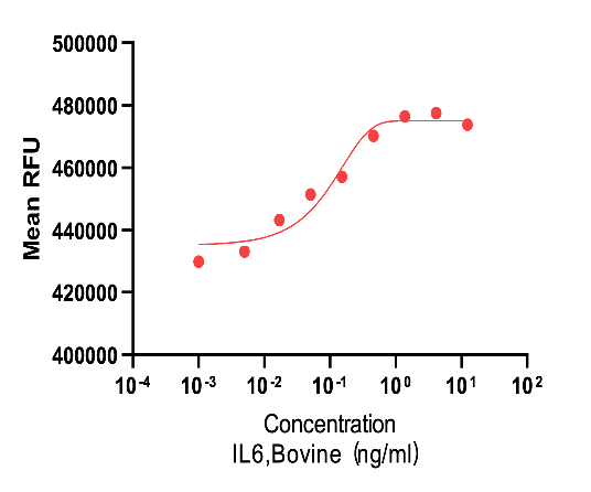 Recombinant Bovine Interleukin-6 (IL6) Protein, Active, Ultra-Low Endotoxin, Bovine, E.coli, Tag free, 20.7 kDa, purity >≥95%, by SDS-PAGE (under reducing (R) & Non-reducing conditions, visualized by Coomassie staining).