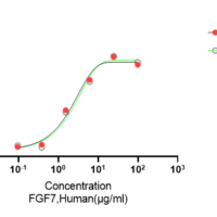 Recombinant Human Fibroblast Growth Factor 7 (FGF7) Protein, Active, Ultra-Low Endotoxin - BioCrest Sci