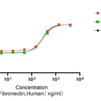 Recombinant Human Fibronectin (FN1) Protein, Active, Ultra-Low Endotoxin - BioCrest Sci