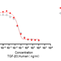 Recombinant Human Transforming Growth Factor Beta 3 (TGFB3) Protein, Active, Ultra-Low Endotoxin - BioCrest Sci