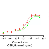 Recombinant Human Oncostatin M (OSM) Protein, Active, Ultra-Low Endotoxin - BioCrest Sci