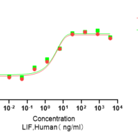 Recombinant Human Leukemia Inhibitory Factor (LIF) Protein, Active, Ultra-Low Endotoxin - BioCrest Sci