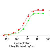 Recombinant Human Interferon Gamma (IFNG) Protein, Active, Ultra-Low Endotoxin - BioCrest Sci