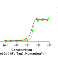 Recombinant Human Wnt-3a (WNT3A) Protein, hFc Tag, Active, Low Endotoxin - BioCrest Sci