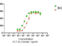 Recombinant Human FLT3 Ligand (FLT3LG) Protein, Active, Ultra-Low Endotoxin - BioCrest Sci