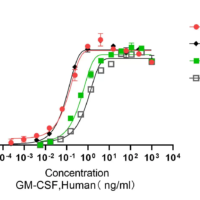 Recombinant Human Granulocyte-Macrophage Colony-Stimulating Factor (CSF2) Protein, Active, Ultra-Low Endotoxin - BioCrest Sci