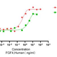 Recombinant Human Fibroblast Growth Factor 4 (FGF4) Protein, Active, Ultra-Low Endotoxin - BioCrest Sci