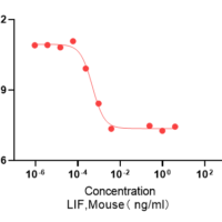 Recombinant Mouse Leukemia Inhibitory Factor (LIF) Protein, Active, Ultra-Low Endotoxin - BioCrest Sci