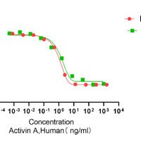 Recombinant Human Activin A (INHBA) Protein, Active, Ultra-Low Endotoxin - BioCrest Sci