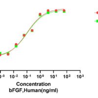 Recombinant Human Fibroblast Growth Factor 2 (FGF2) Protein, Active, Low Endotoxin - BioCrest Sci