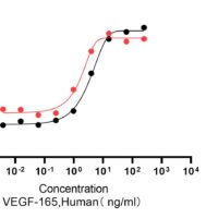 Recombinant Human Vascular Endothelial Growth Factor A165 (VEGFA) Protein, Active, Ultra-Low Endotoxin - BioCrest Sci