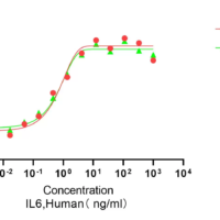 Recombinant Human Interleukin-6 (IL6) Protein, Active, Ultra-Low Endotoxin - BioCrest Sci