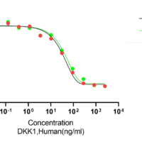 Recombinant Human Dickkopf-1 (DKK1) Protein, Active, Ultra-Low Endotoxin - BioCrest Sci