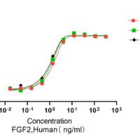 Recombinant Human Heat-Stable Fibroblast Growth Factor 2 (FGF2) Protein, Active, Ultra-Low Endotoxin - BioCrest Sci