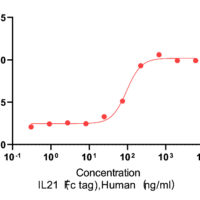 Recombinant Human Interleukin-21 (IL21) Protein, Fc Tag, Active, Ultra-Low Endotoxin - BioCrest Sci
