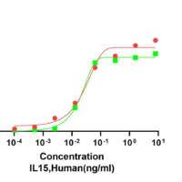 Recombinant Human Interleukin-15 (IL15) Protein, Active, Ultra-Low Endotoxin - BioCrest Sci