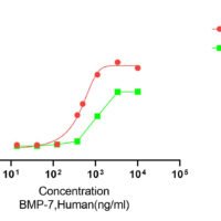Recombinant Human Bone Morphogenetic Protein 7 (BMP7) Protein, Active, Ultra-Low Endotoxin - BioCrest Sci