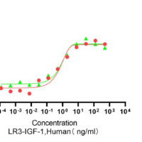 Recombinant Human LR3 Insulin-Like Growth Factor 1 (IGF1) Protein, Active, Ultra-Low Endotoxin - BioCrest Sci