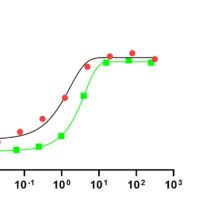 Recombinant Human Bone Morphogenetic Protein 9 (GDF2) Protein, Active, Ultra-Low Endotoxin - BioCrest Sci