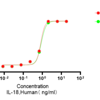 Recombinant Human Interleukin-18 (IL18) Protein, Active, Ultra-Low Endotoxin - BioCrest Sci