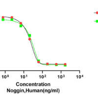 Recombinant Human Noggin (NOG) Protein, Active, Ultra-Low Endotoxin - BioCrest Sci