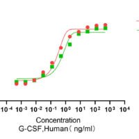 Recombinant Human Granulocyte Colony-Stimulating Factor (CSF3) Protein, Active, Ultra-Low Endotoxin - BioCrest Sci