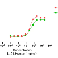 Recombinant Human Interleukin-21 (IL21) Protein, Active, Ultra-Low Endotoxin - BioCrest Sci