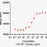 Recombinant Mouse LR3-IGF1 Protein, Active, Ultra-Low Endotoxin - BioCrest Sci
