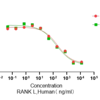 Recombinant Human RANK Ligand (TNFSF11) Protein, Active, Ultra-Low Endotoxin - BioCrest Sci