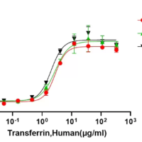 Recombinant Human Holo-Transferrin (TF) Protein, Active, Ultra-Low Endotoxin - BioCrest Sci