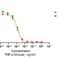 Recombinant Human TNFα Protein, Active, Ultra-Low Endotoxin - BioCrest Sci
