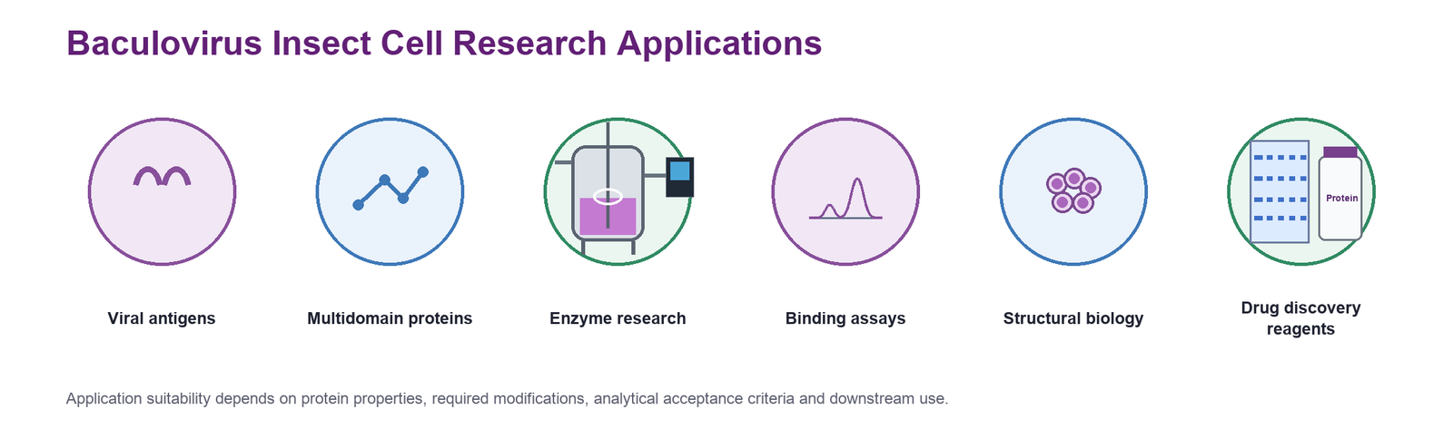 Research applications for Baculovirus Insect Cell protein expression