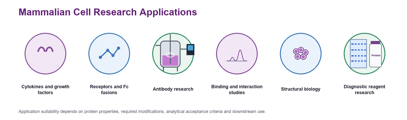 Research applications for Mammalian Cell protein expression