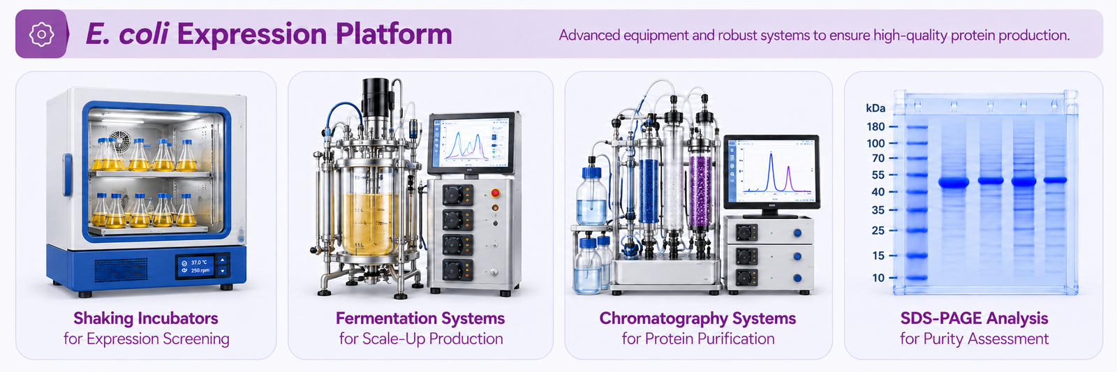 E. coli expression platform illustrations showing shaking incubators, fermentation systems, chromatography systems and SDS-PAGE analysis