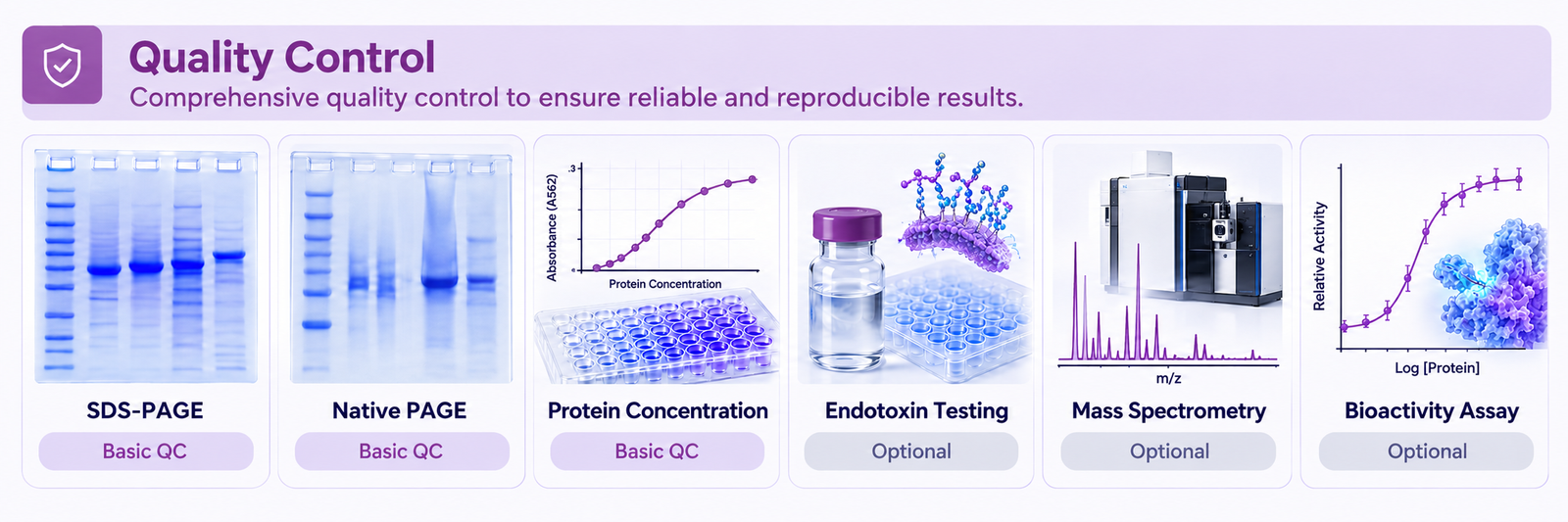 Protein quality control options including SDS-PAGE, native PAGE, concentration, endotoxin, mass spectrometry and bioactivity assays