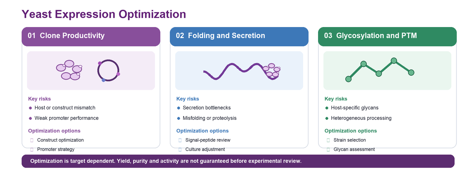 Yeast expression optimization strategy