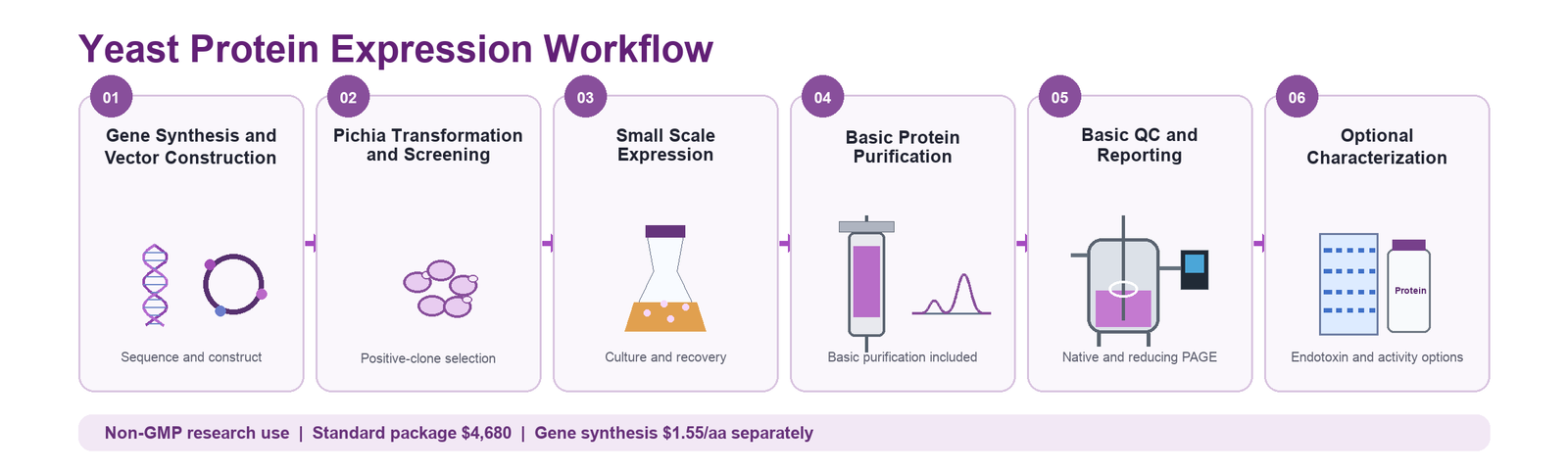 Yeast protein expression six-stage workflow
