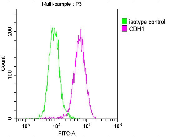 Mouse anti-Human sapiens (Human) CDH1 Monoclonal Antibody